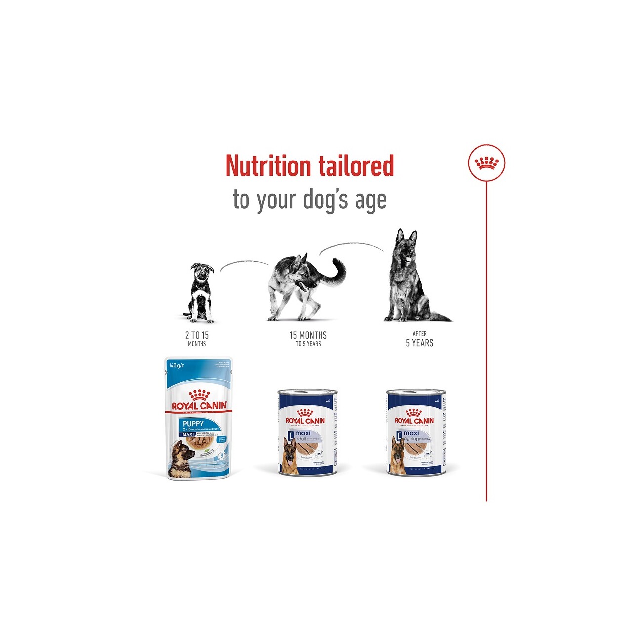ROYAL CANIN Maxi Adult Mousse 12x410 g