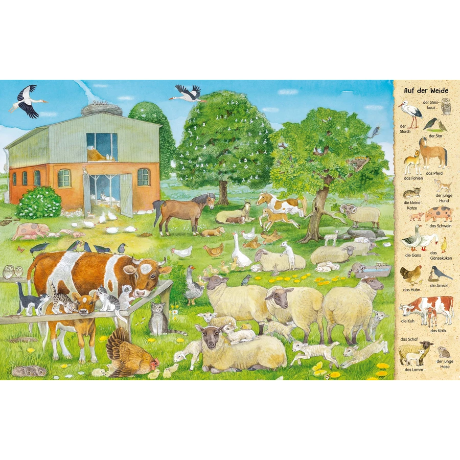 Thienemann-Esslinger Das 1000 Tiere-Wimmelbuch