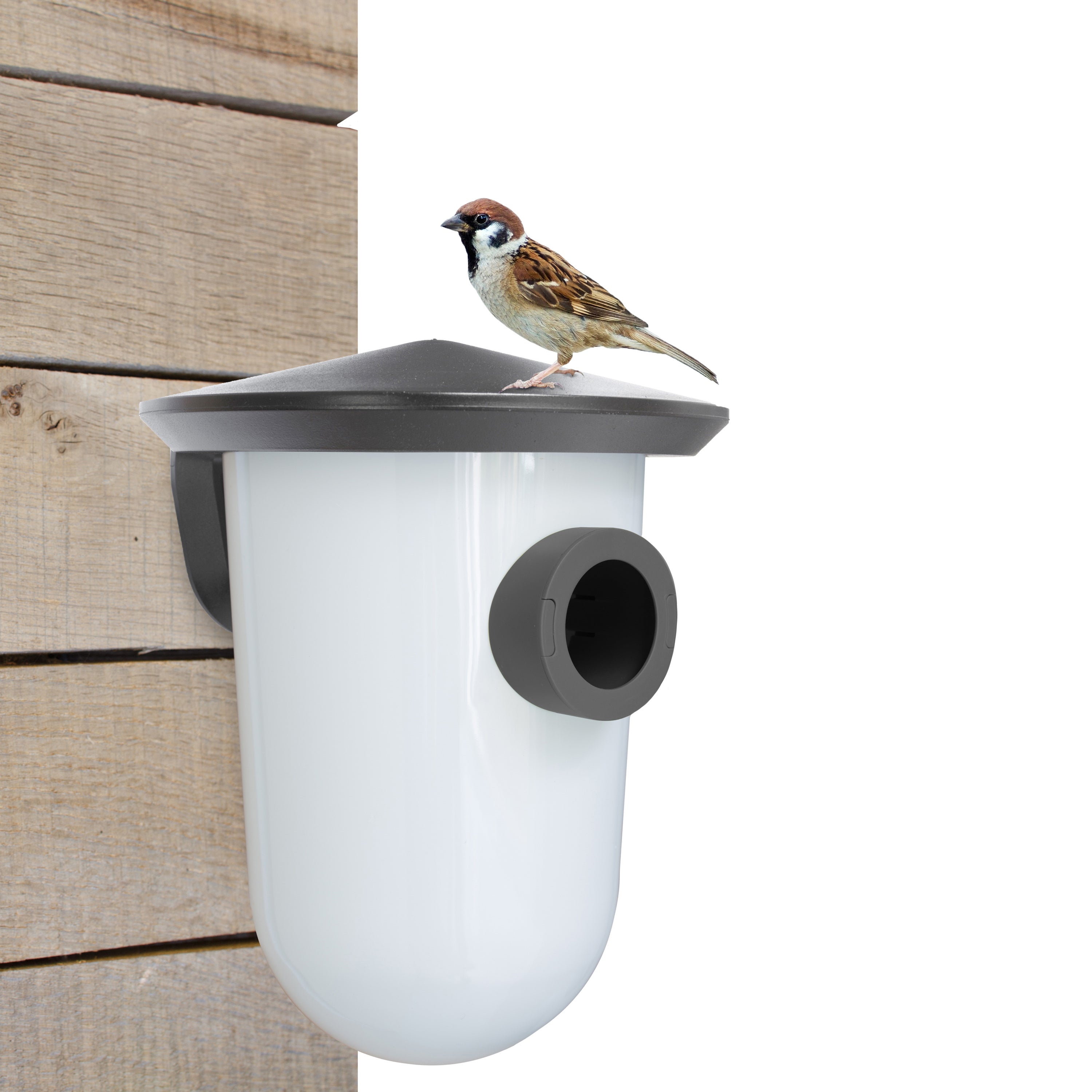SingingFriend breedR Vogelhuis