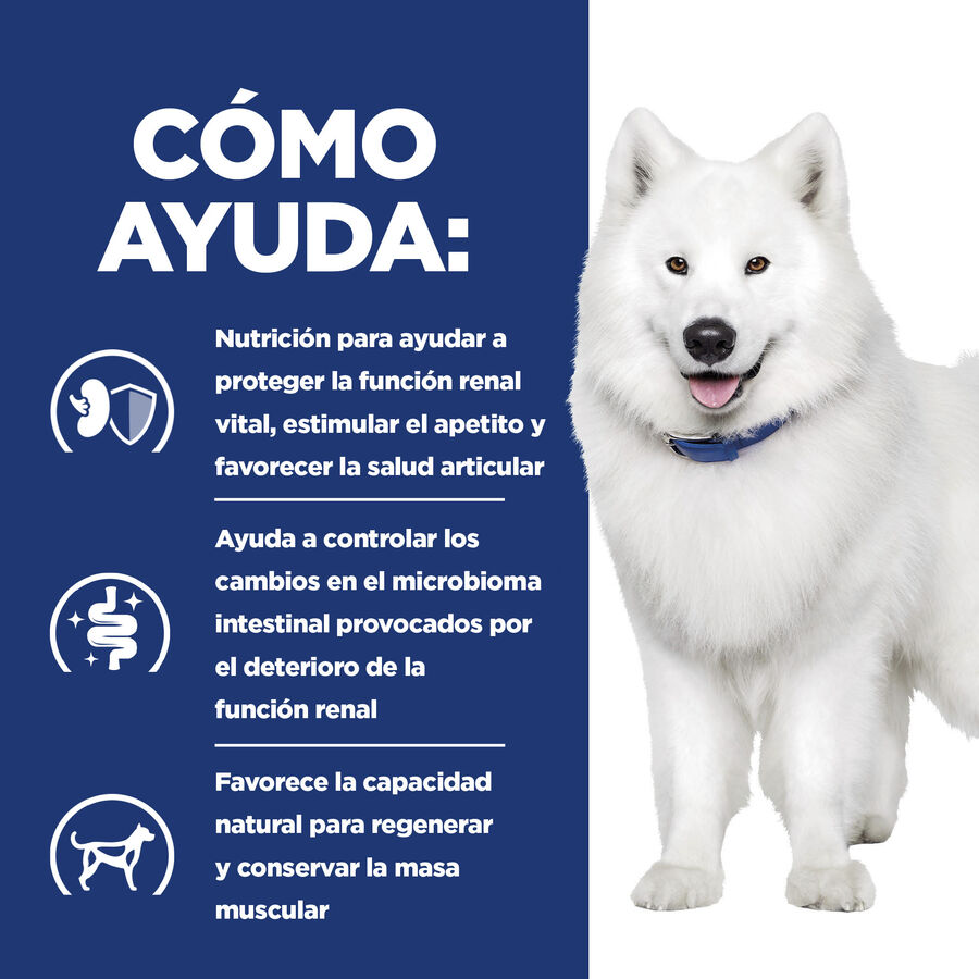 Ração Hill's Prescription Diet para cães com problemas renais e de mobilidade