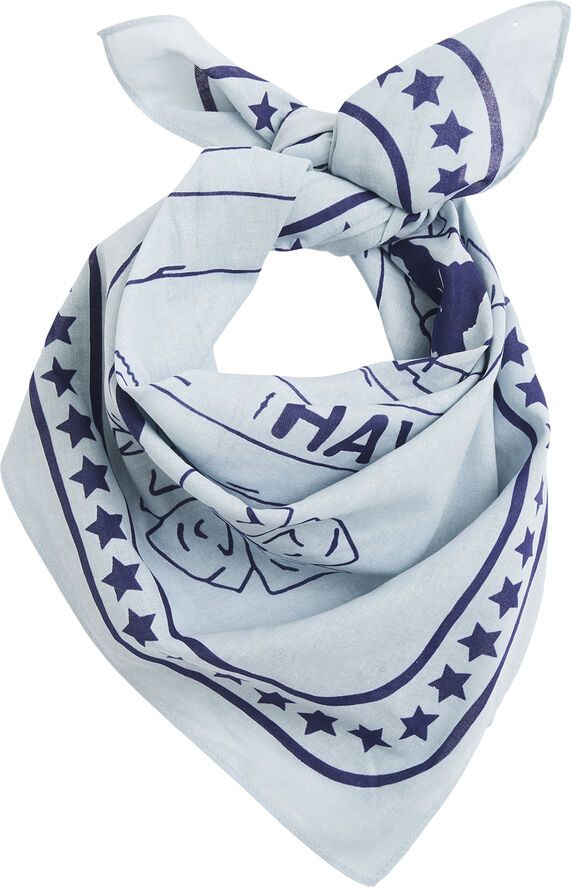 Hay HAY Dogs Scarf-55 x 55-Light blue