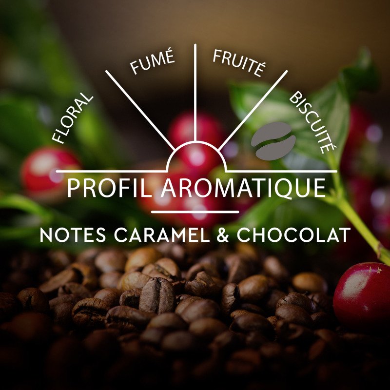 Capsules de café Carte Noire Ristretto N° 12 - Boîte de 30