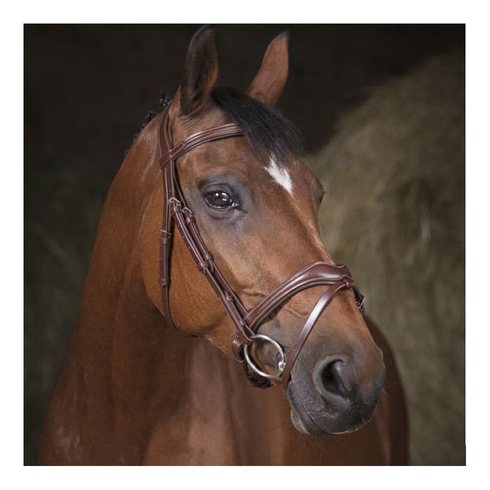 Norton VAGUE - Bridon havane