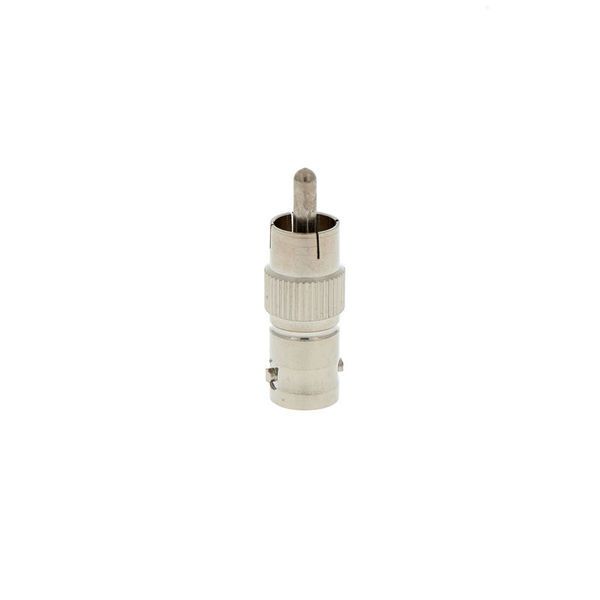 pro snake Adapter BNC female - RCA male