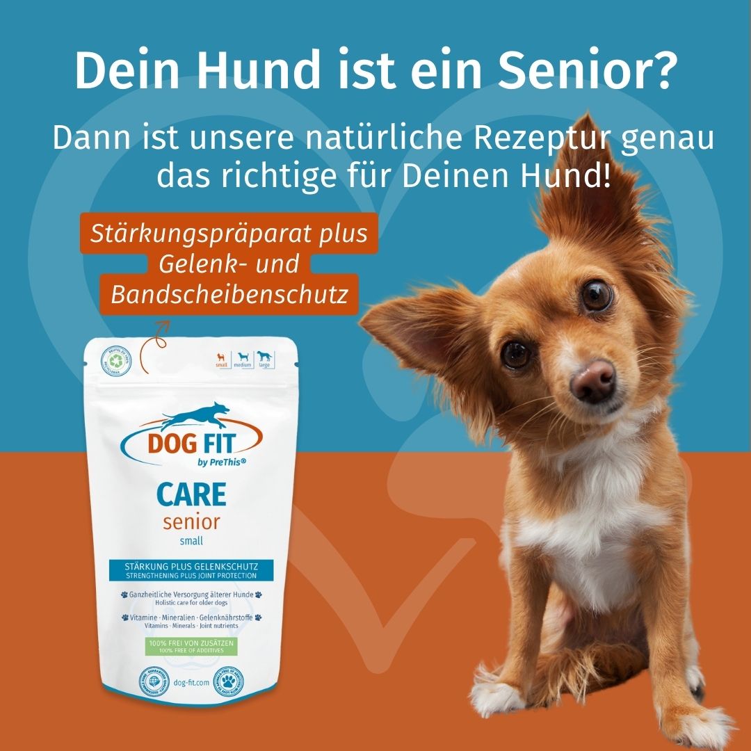 DOG FIT by PreThis® CARE senior » Stärkungs-, Gelenk- & Bandscheibenmittel für alte Hunde (large)