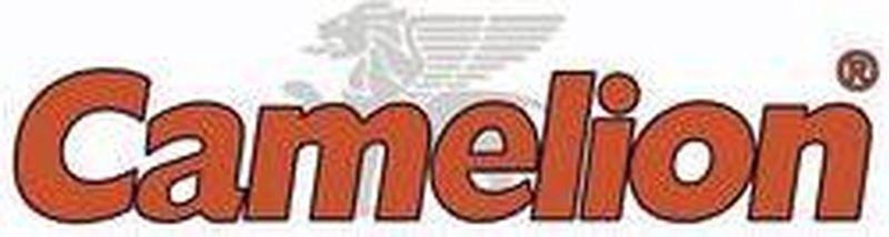 Camelion - Alkaline Mignon - Batterijen - 12 Stuks - AA - 2800 mAh