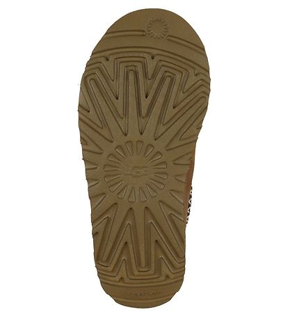 UGG Sko - W Tasman - Chestnut
