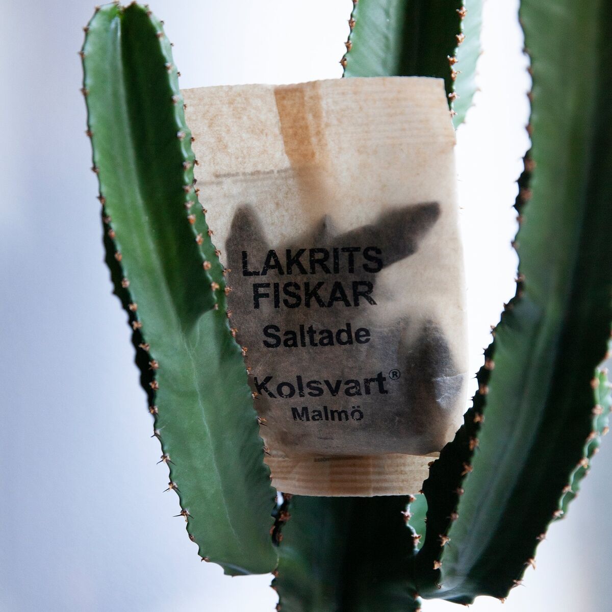 Saltet fisk, 120 g