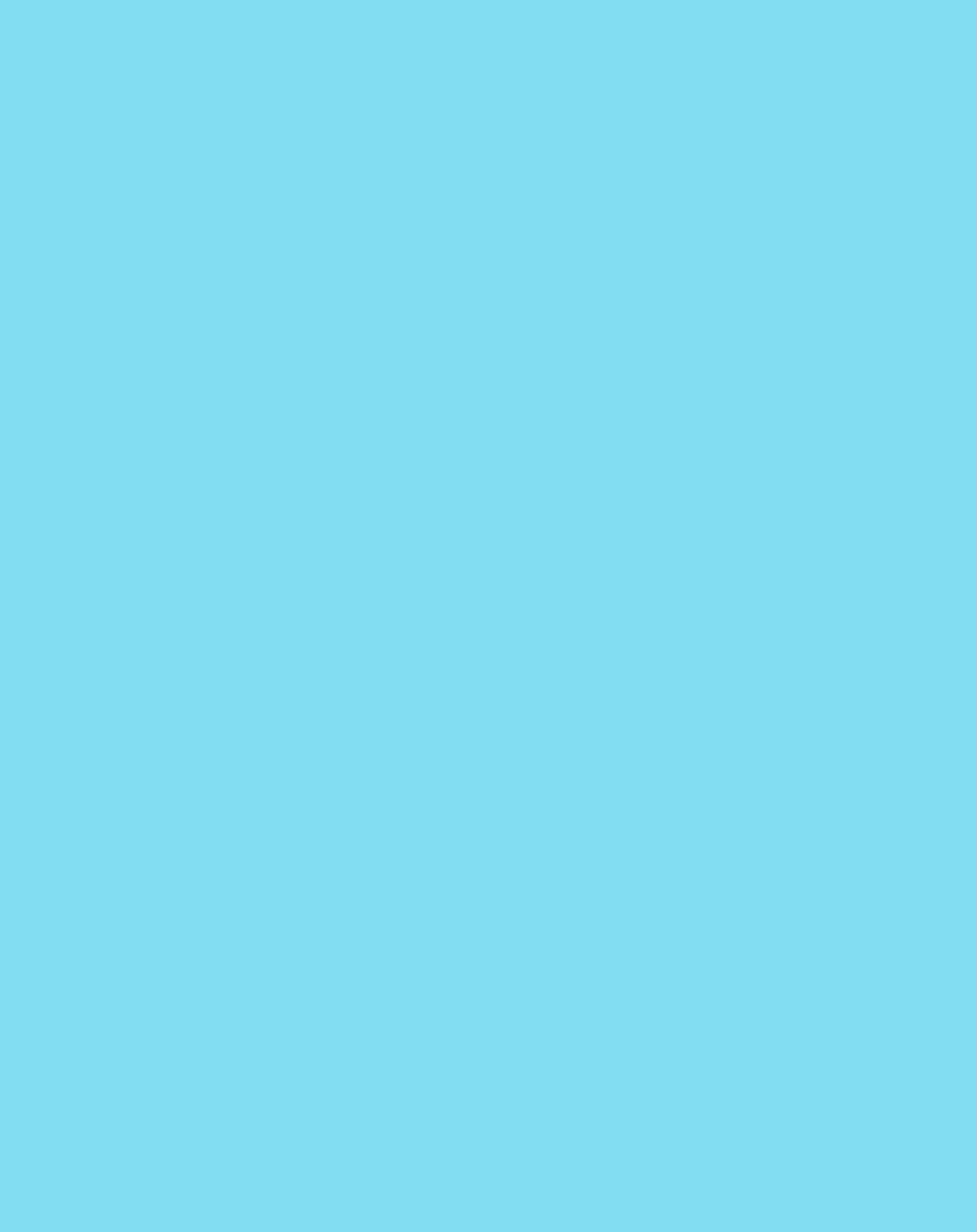 T-Shirt  LEOPARD in blau