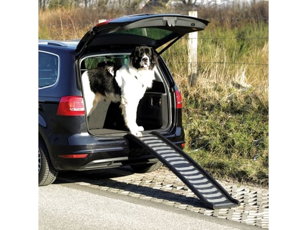 Trixie Pet ramp, plastic, 39 × 160 cm