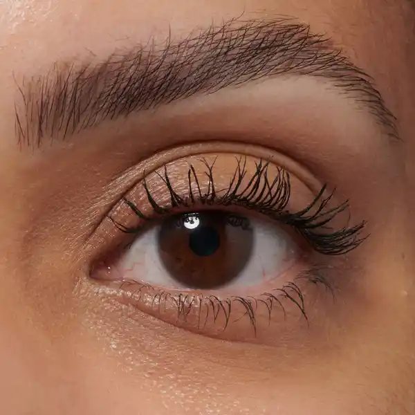 Laminate Brow Dark Brown