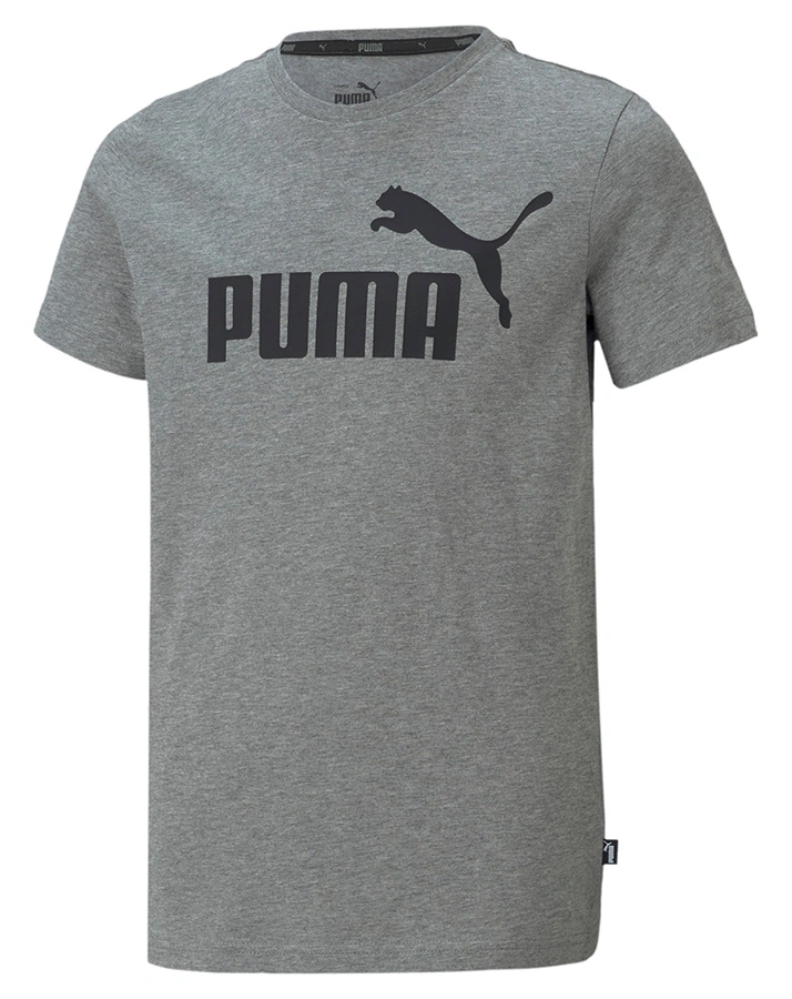 T-Shirt SPORTYSTYLE CORE in grau