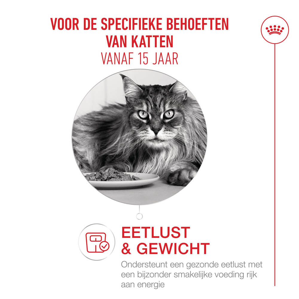 Royal Canin Ageing 15  - Kattenvoer - 0.4 Kilogram