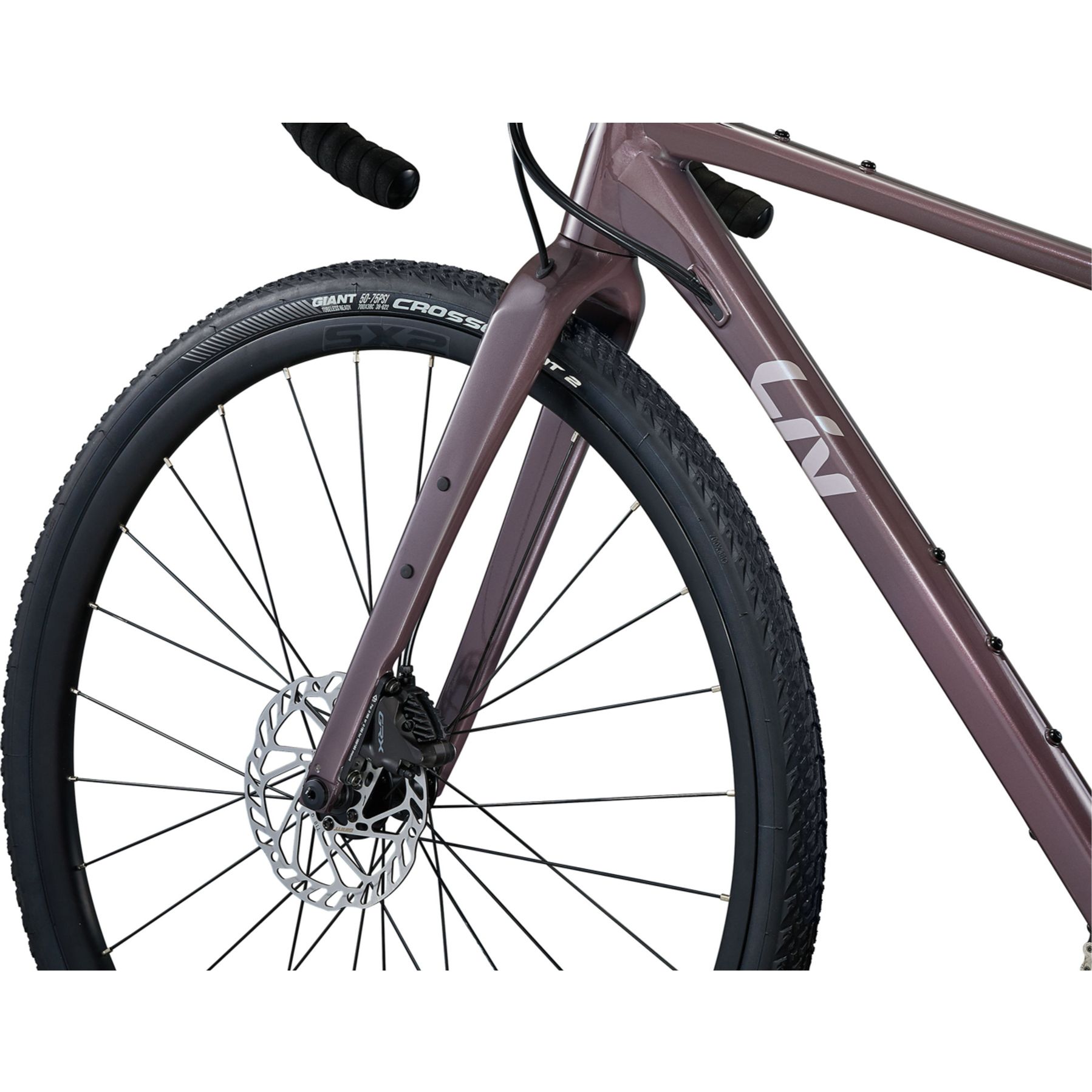 Liv Devote 1 2025
