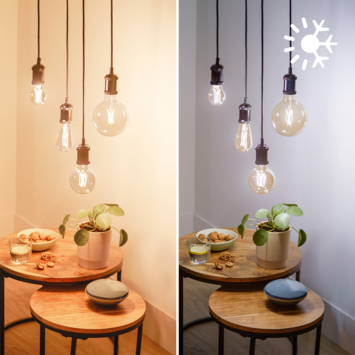 Philips smart LED edison filament 50W 2pack