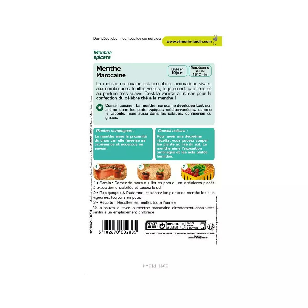 Sachet de graines menthe marocaine