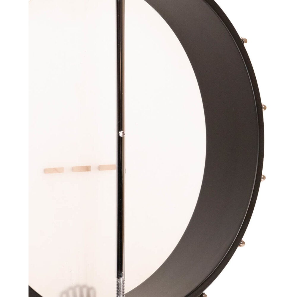 Gold Tone AC-12 5-snarige open back banjo met gigbag