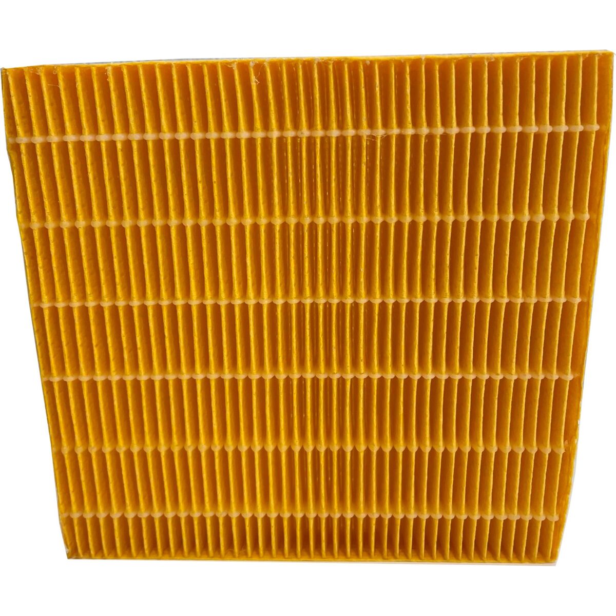 Vannfilter til DryAged Master 4-pakk