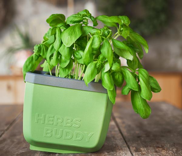 Gusta Garden Kräutertopf Herbs Buddy, ca.