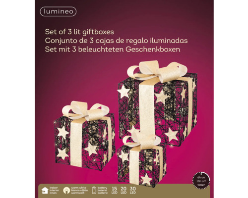 65 LED Cadeauset Lumineo Warm Wit 3 Stuks Zwart