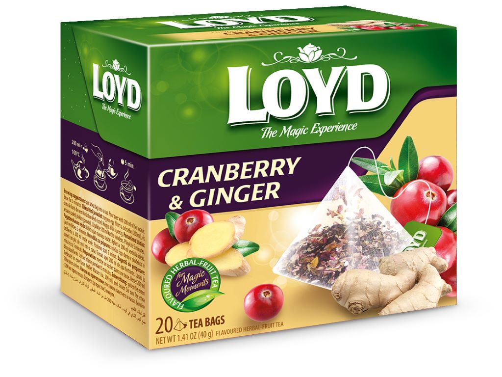 INFUSÃO LOYD ARANDO E GENGIBRE 20UN