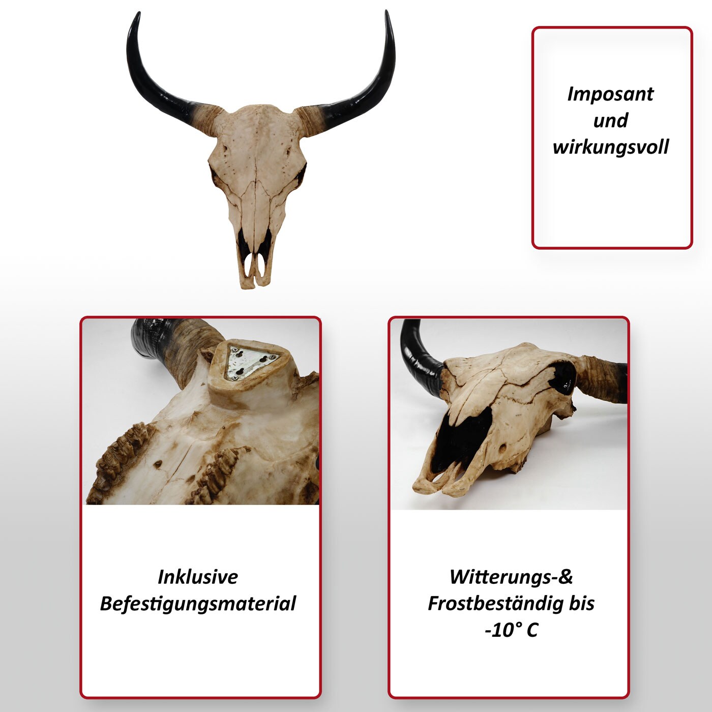 Deko Schädel 64cm, Polyresin Stier Bulle Longhorn Kopf Trophäe, In-/Outdoor ~ natur