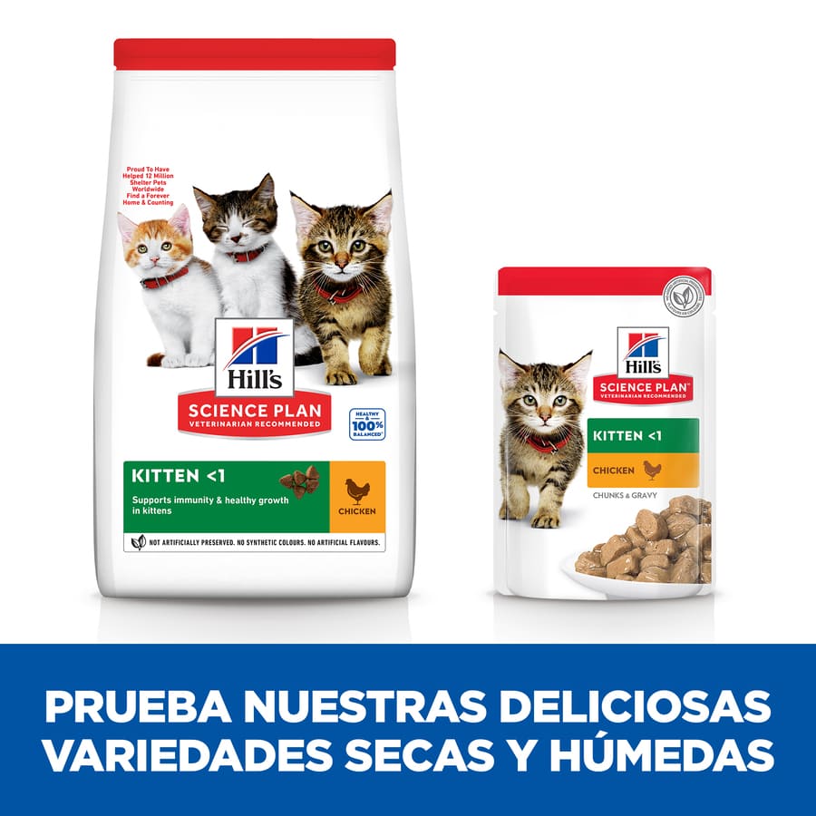 Ração para gatinhos Hill's Science Plan sabor frango