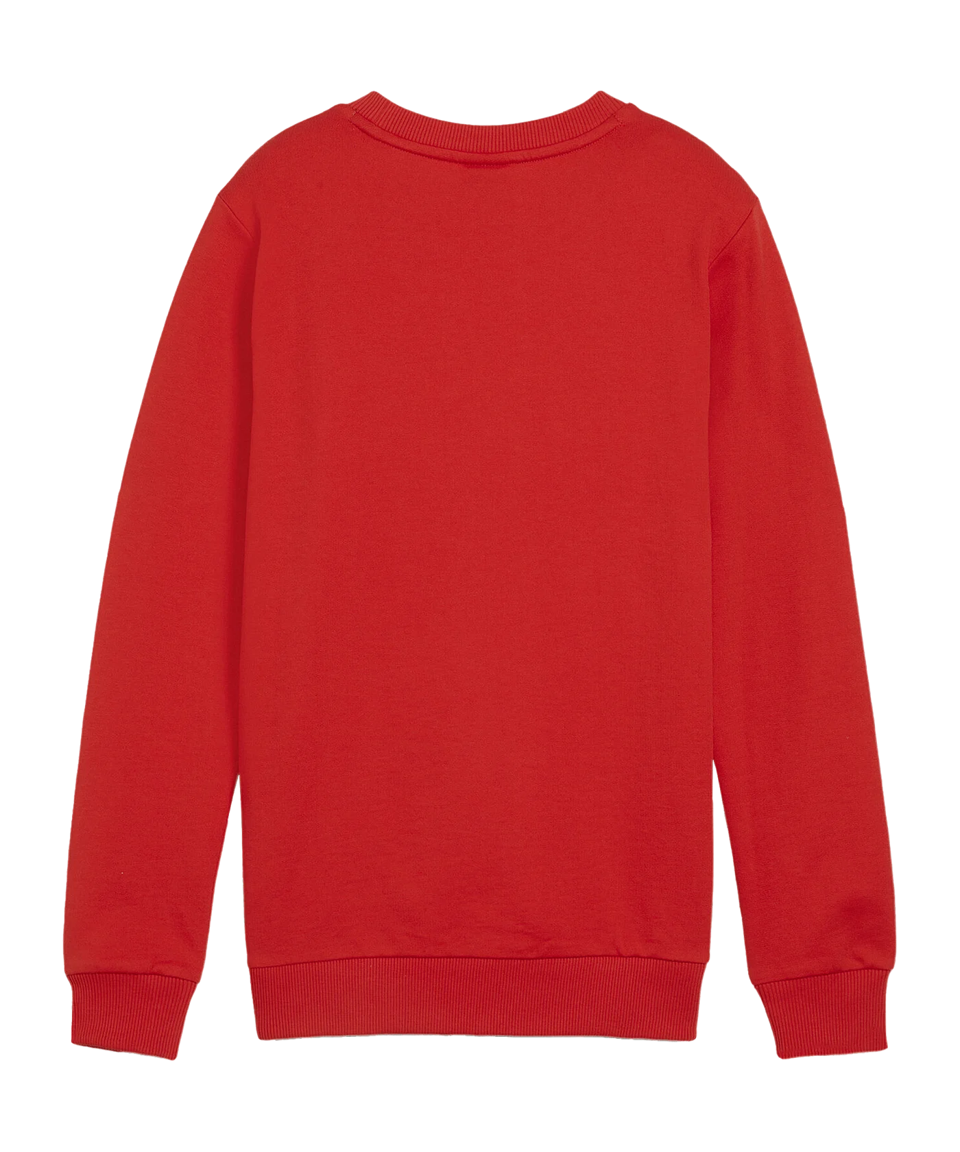 PUMA teamGOAL Casuals Sweatshirt Kids Rpt F01