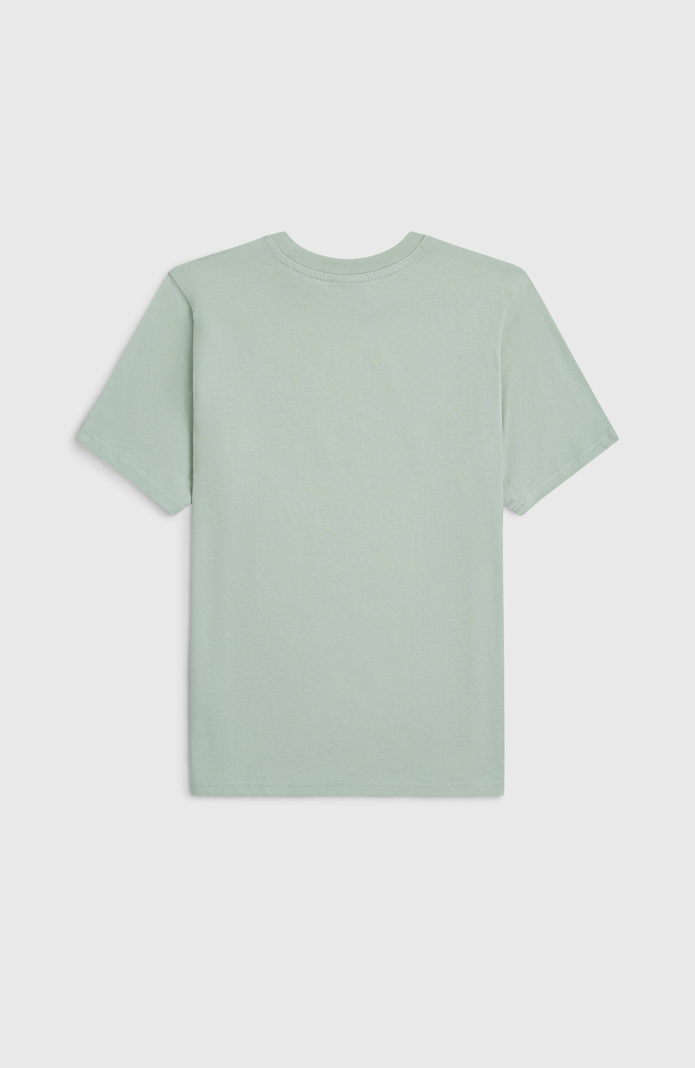 O'Neill Muir T-shirt