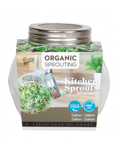 Buzzy Organic Sprouting Pot Daikon Bio - Groentezaden - 7.5 g