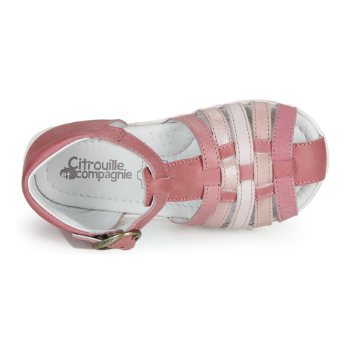 Citrouille et Compagnie - RINE - Rose / Multicolore