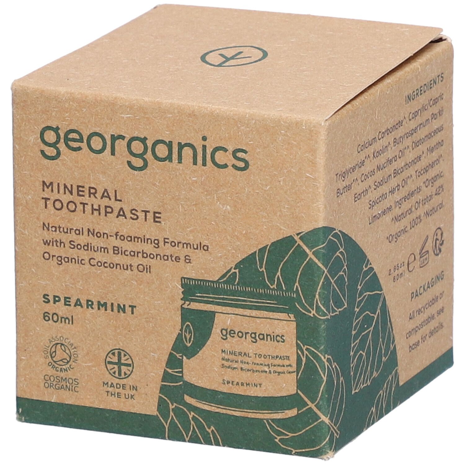 georganics Mineral-rich Toothpaste Spearmint