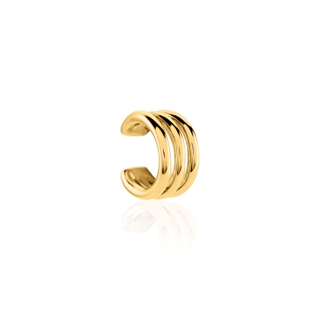 Bijoux D'oreilles Lauri Acier Doré