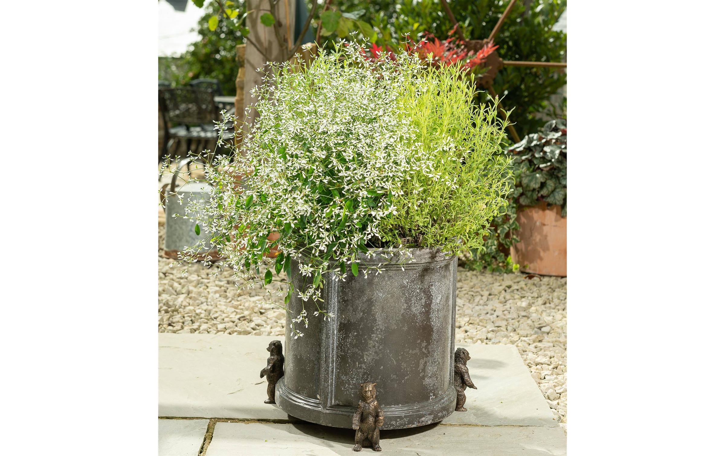 Blumenständer »Potty Feet Grizzlybär«