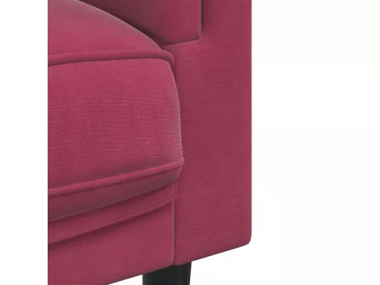 Canapé avec coussins 2 places rouge bordeaux velours