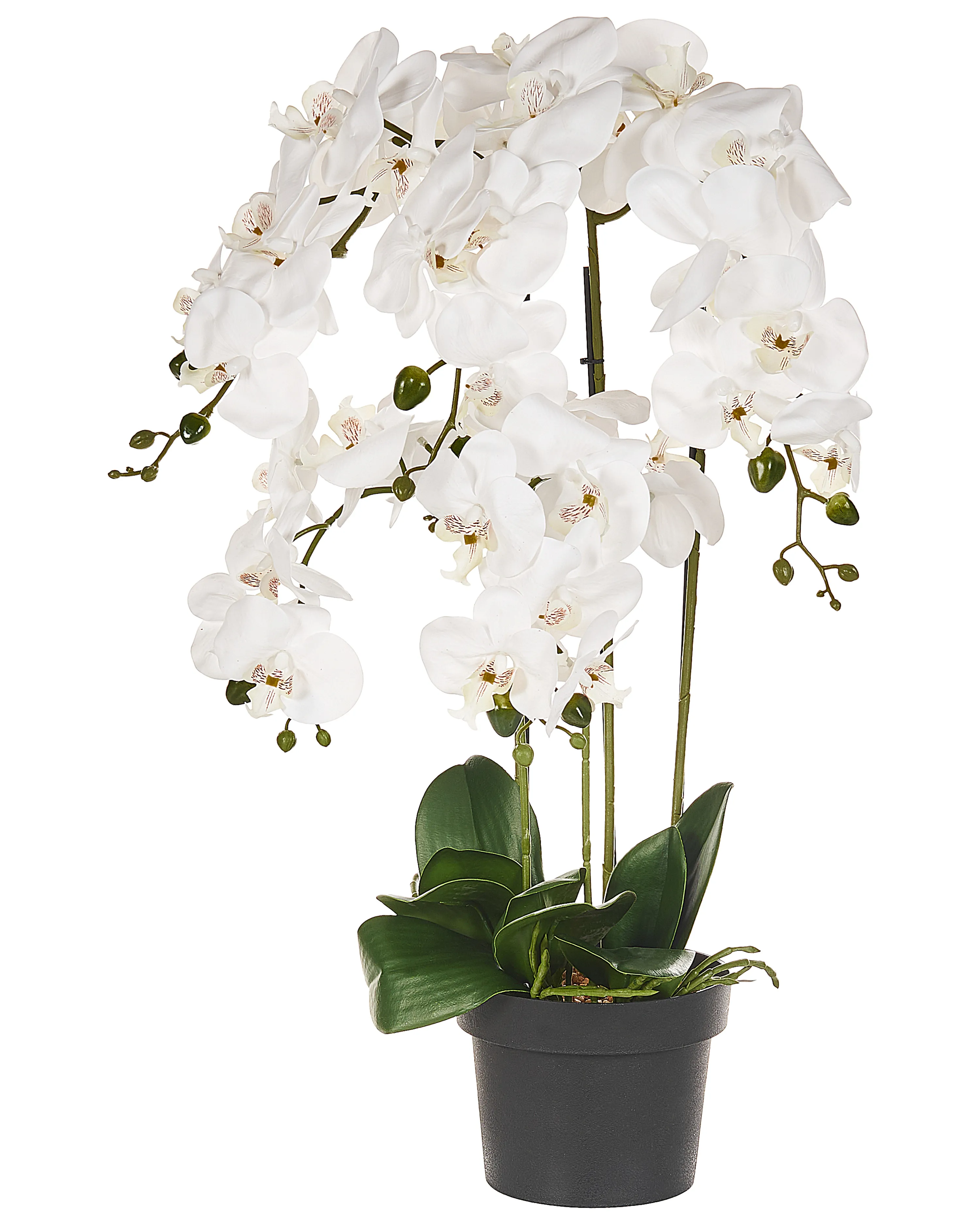 Kunstplant ORCHID 65 cm Wit