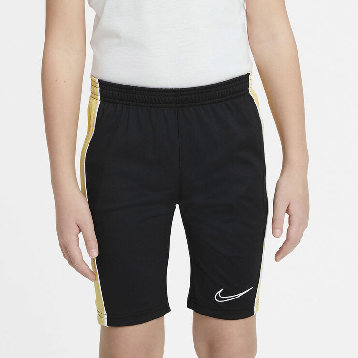 Nike Dri Fit Academy Shorts Sort