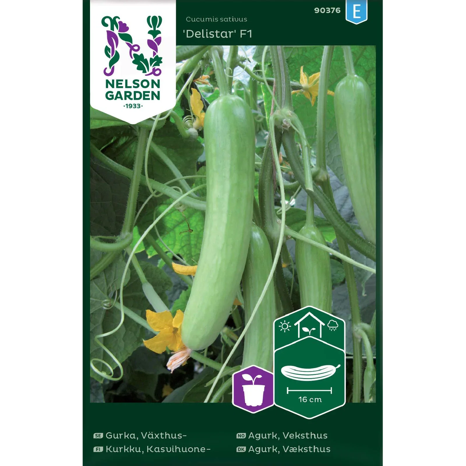 Cucumis sativus 'Delistar' Veksthusagurk 'Delistar'