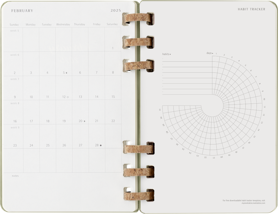 Life Planner 2025 L 12-Month, Spiral