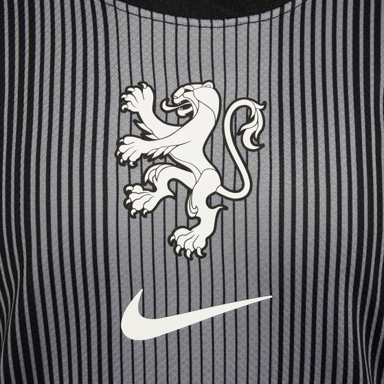 Nike Nederland Thuis Keepersshirt Leeuwinnen Kids