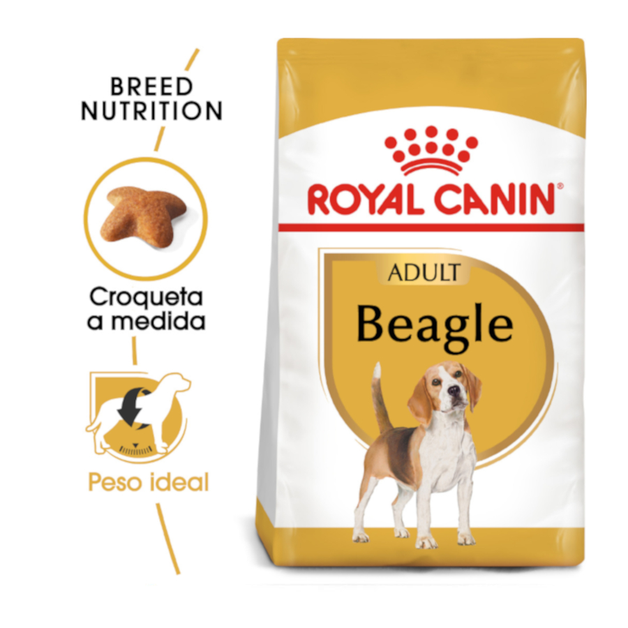 Ração Royal Canin para cães da raça Beagle adulto