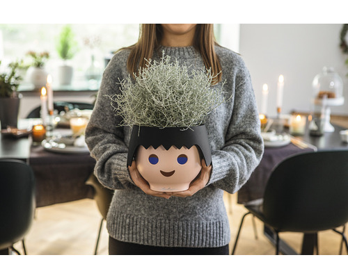 Lechuza Ojo bloempot, 16 cm hoog, zwart kunststof, inclusief waterniveau-indicator en zelfbewateringssysteem