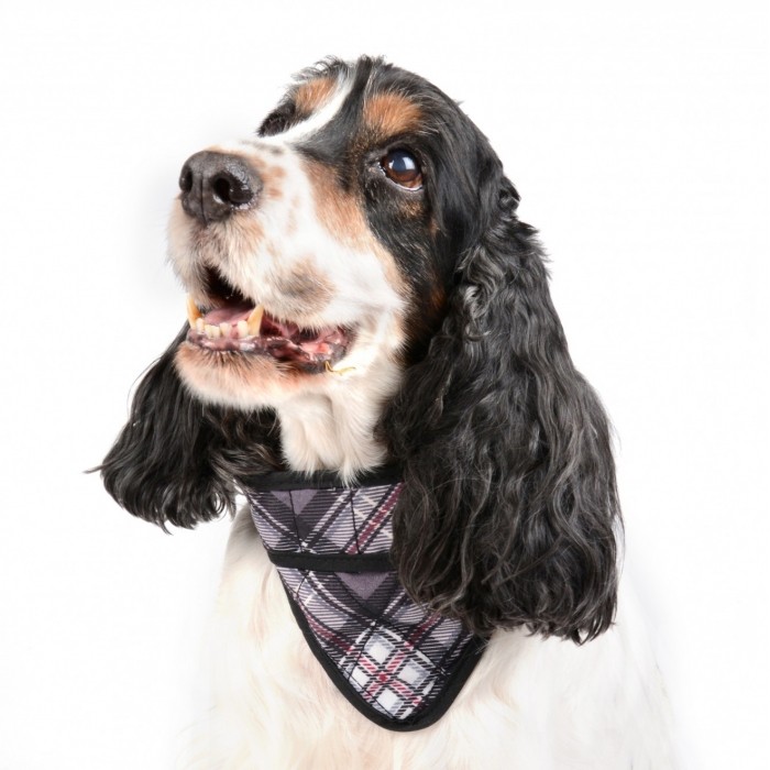Bandana rafraîchissant gris