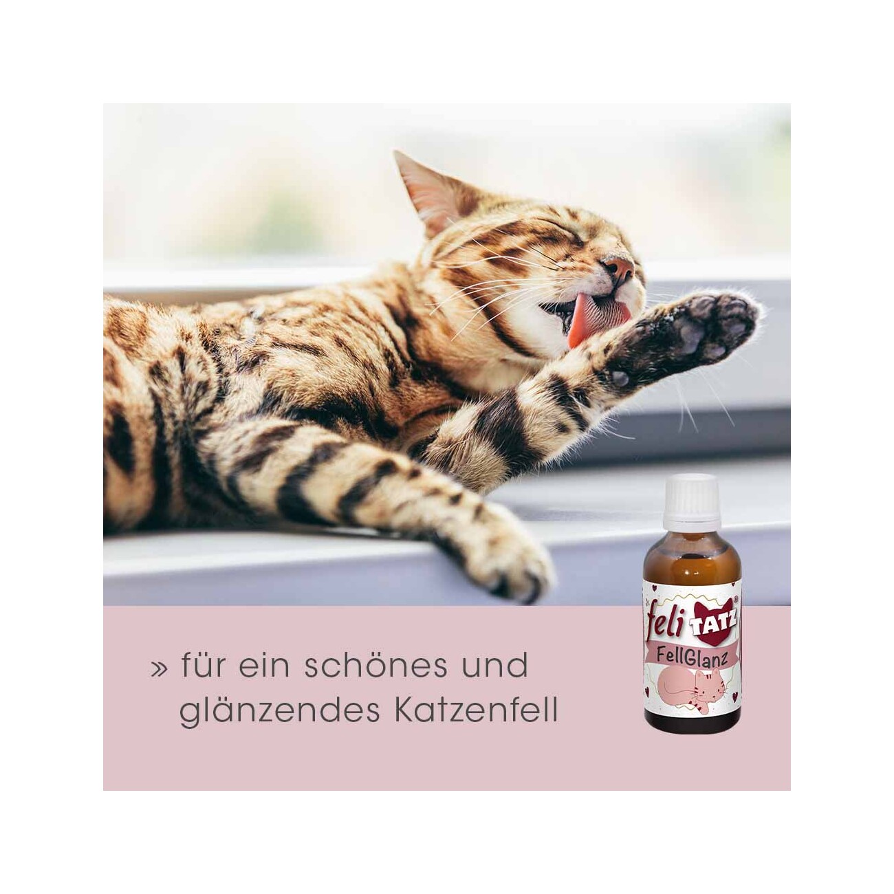 cdVet feliTATZ FellGlanz