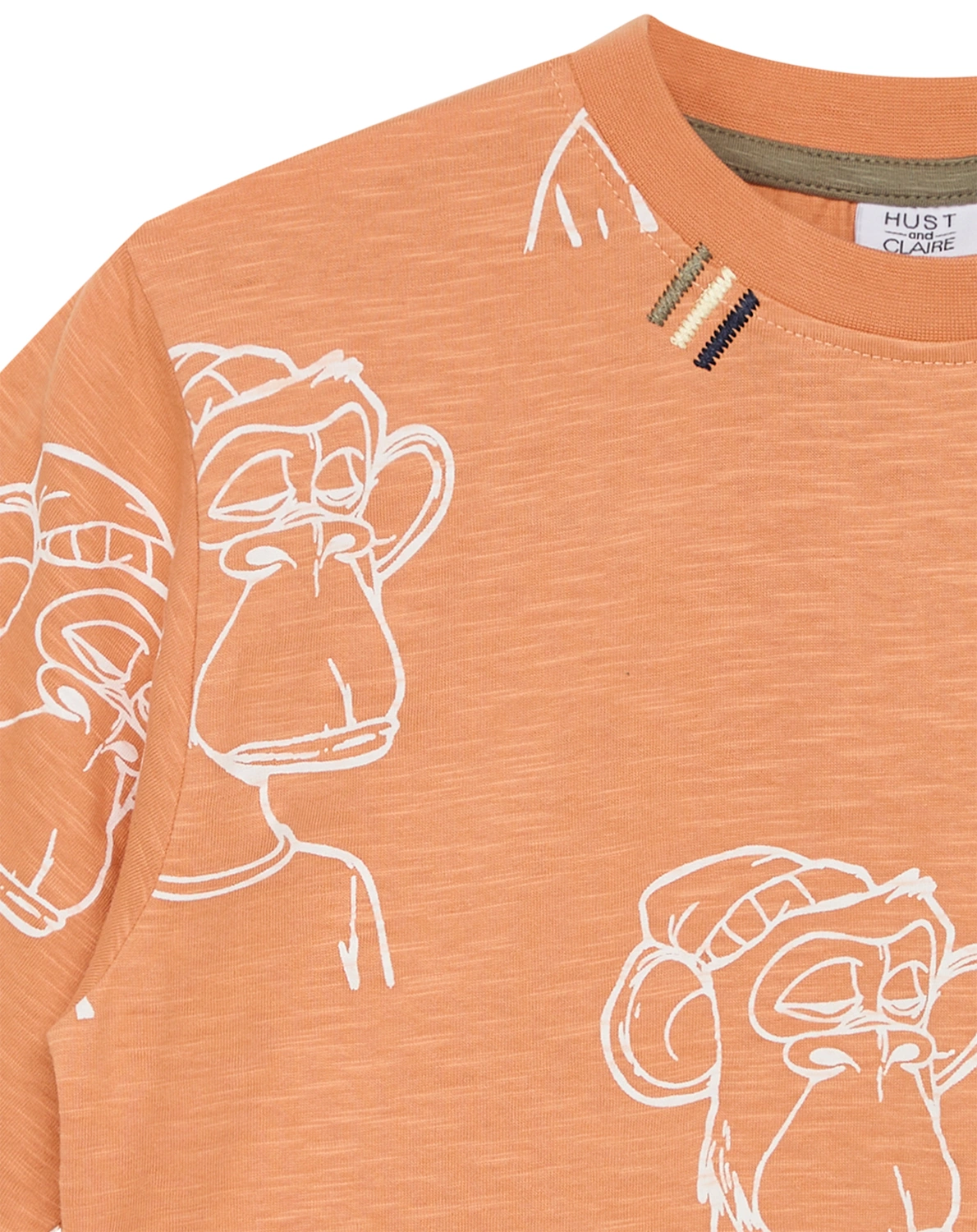 T-Shirt ANSKIL AFFE in pheasant