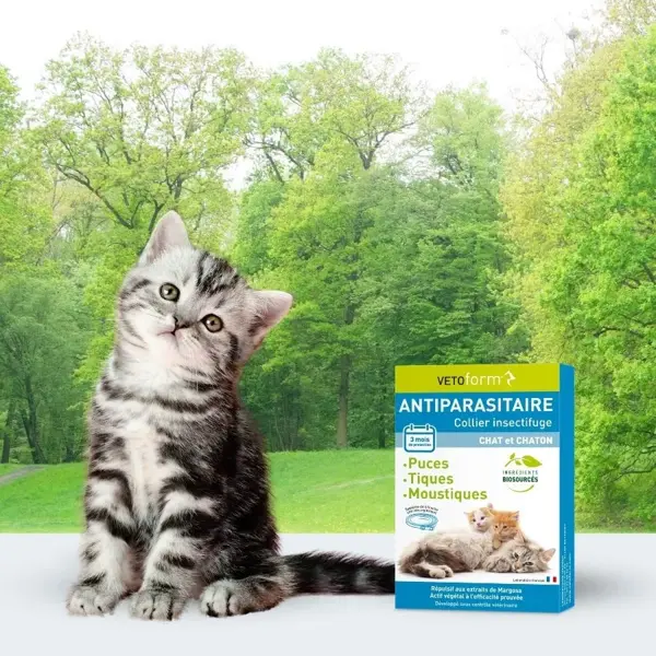 Coleira antiparasitária Vetoform para gatos e gatinhos, 35 cm