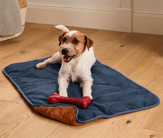 Hunde-Kuscheldecke