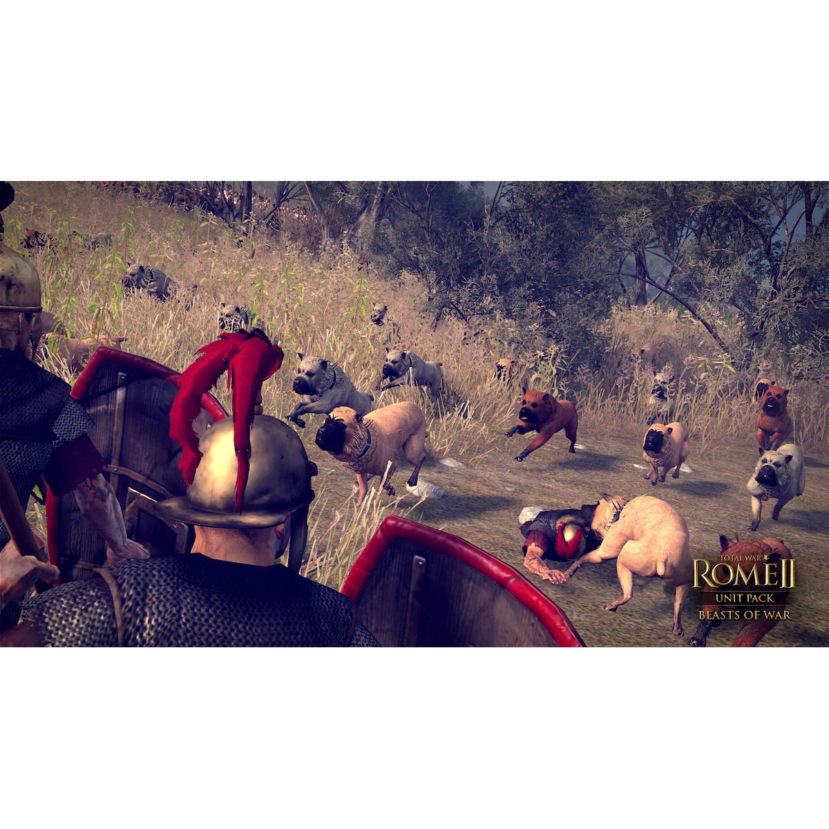 Total War ROME II - Beasts of War - PC Windows