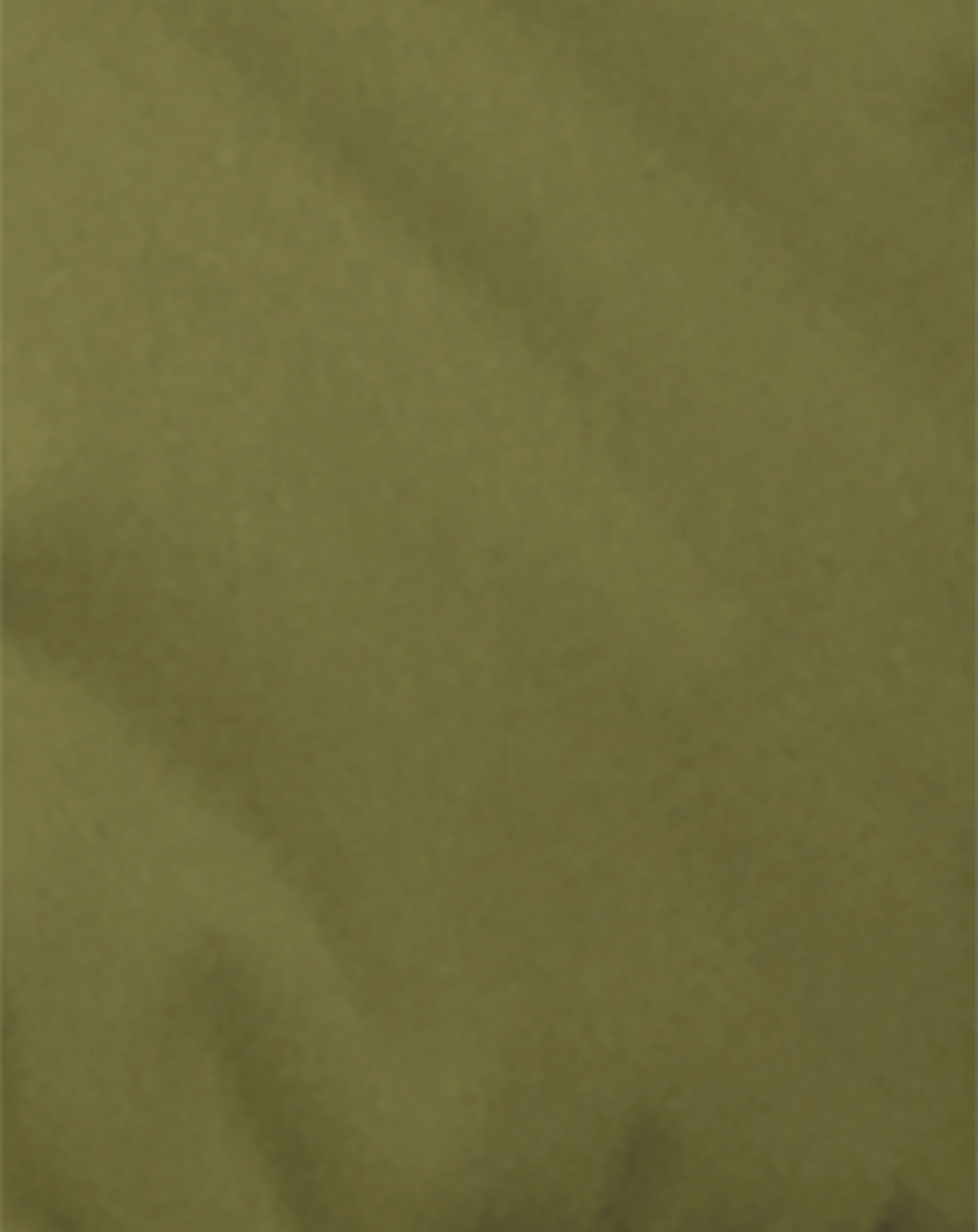 Winterparka TANISO in light moss