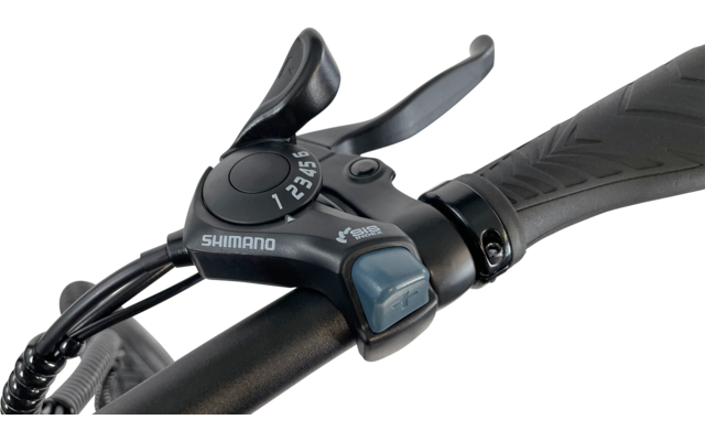 Blaupunkt Henri faltbares E-Bike 20 Zoll 250W schwarz/grau